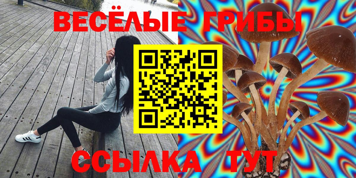 Галлюциногенные грибы GOLDEN TEACHER  Вход с VPN  где найти наркотики  Ступино 